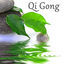 Cover Qi Gong