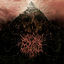 Cover Golgotha