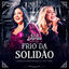 Cover Frio da Solidão (Ao Vivo)