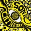 Cover The Psychedelic Sounds of the Sonic Cathedral