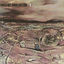 Cover Earth Rot