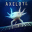 Cover Axelotl