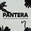 Cover Pantera