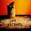 Cover I'M TRYNA