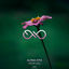 Cover Your Love