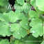 Cover Raindrops