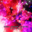 Cover The First Rebirth
