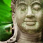 Cover Buddha Nature