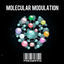 Cover Molecular Modulation