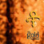 Cover The Gold Experience