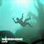 Cover Seashine