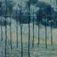Cover Desire Lines