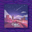 Cover When the Night Falls