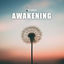 Cover Awakening