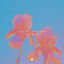 Cover Again