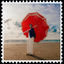 Cover Used To