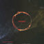 Cover Bones