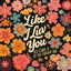Cover Like I Luv You