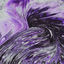 Cover Birds at Night