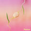 Cover Flowers