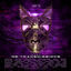 Cover AlpaKa MuziK 2024 Re:Transmissions