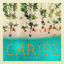 Cover Caribe