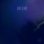 Cover Hollow