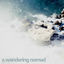 Cover A Wandering Nomad