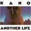 Cover Another Life (LP)