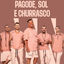 Cover Pagode, Sol e Churrasco