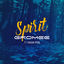 Cover Spirit (feat. Mahan Moin)