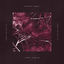 Cover Lose The Net EP