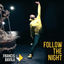 Cover Follow the Night