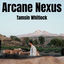Cover Arcane Nexus