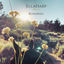 Cover Runaway