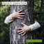 Cover La danse de forêt