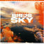 Cover Birds In The Sky (Protein Bor Remix)