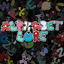 Cover Alphabet Lore
