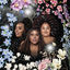 Cover In The Middle