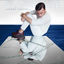 Cover Glasshouse