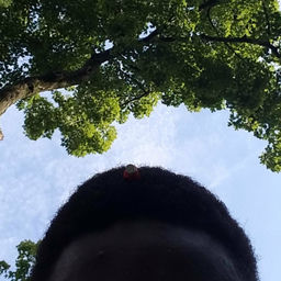 ''