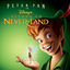 Cover Return to Never Land