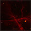 Cover Unravel