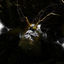 Cover Firework