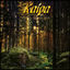 Cover Urskog