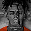 Cover Misunderstood
