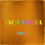 Cover Raça Negra - Vol. 4