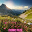 Cover Cosmic Pulse
