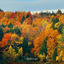 Cover Fall(Ing)