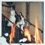 Cover Head on Fire